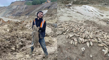 Sinop’ta balıkların şikayetini duyuran Özgür Özel, Arnavutköy’deki balıkları yetim bıraktı