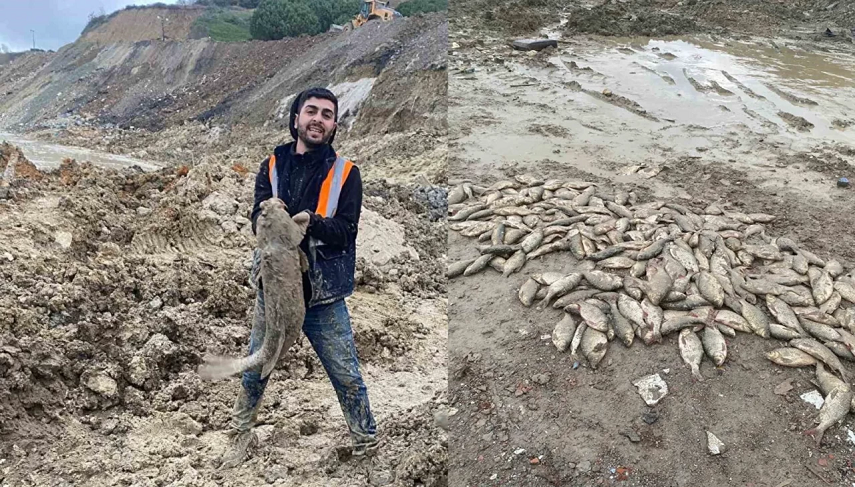 Sinop’ta balıkların şikayetini duyuran Özgür Özel, Arnavutköy’deki balıkları yetim bıraktı